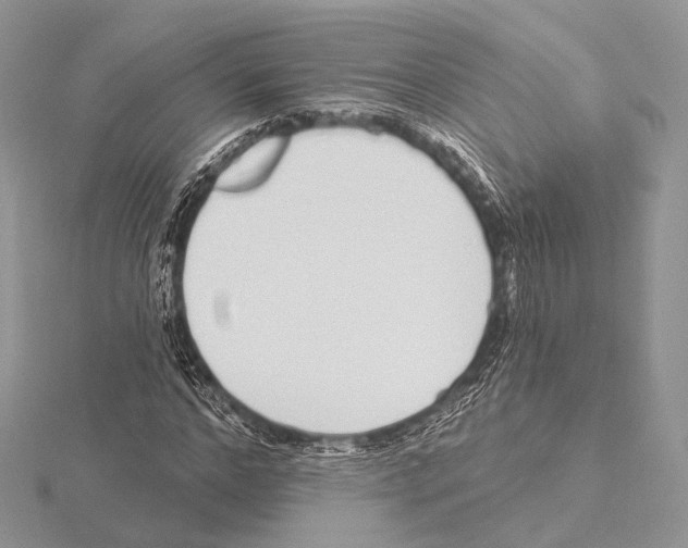 X0000115710968200912101233