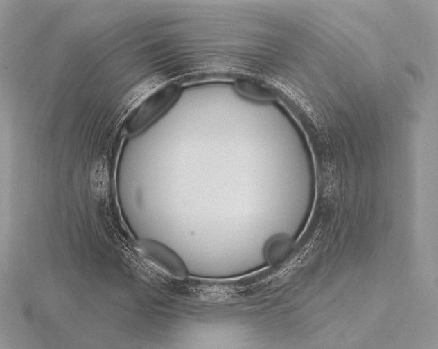 X0000115710969200912101233