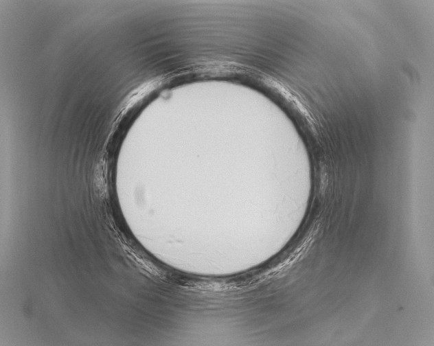 X0000115710970200912101233