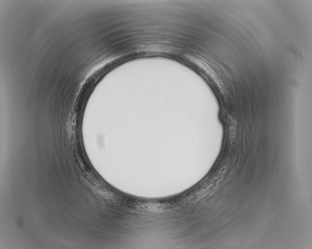 X0000115710971200912101233