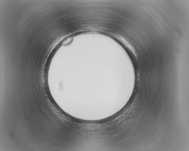 X0000115710972200912101233