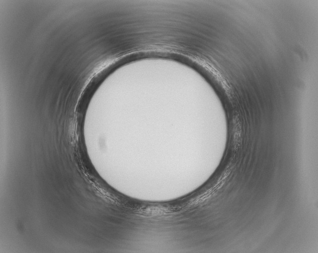 X0000115710974200912101233