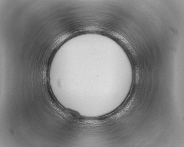 X0000115710977200912101233