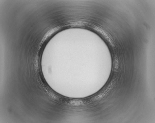 X0000115710978200912101233