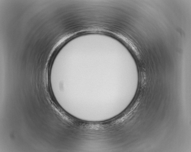 X0000115710982200912101233