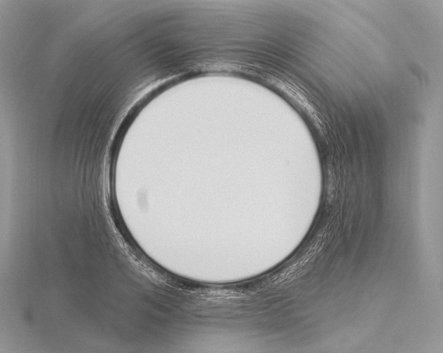 X0000115710984200912101233