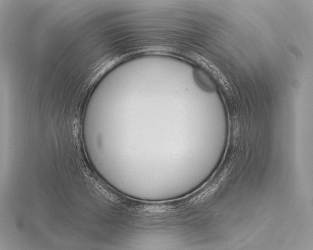 X0000115710985200912101233