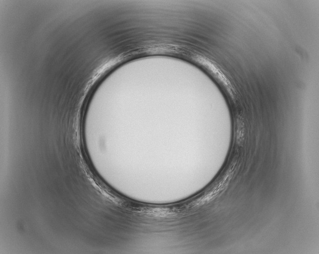 X0000115710986200912101233