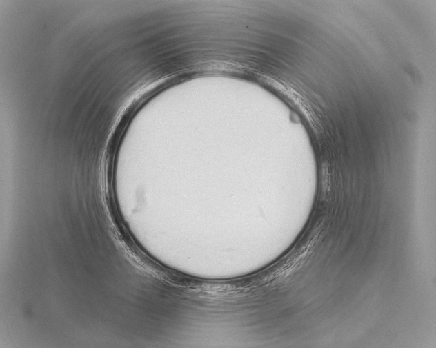 X0000115710987200912101233