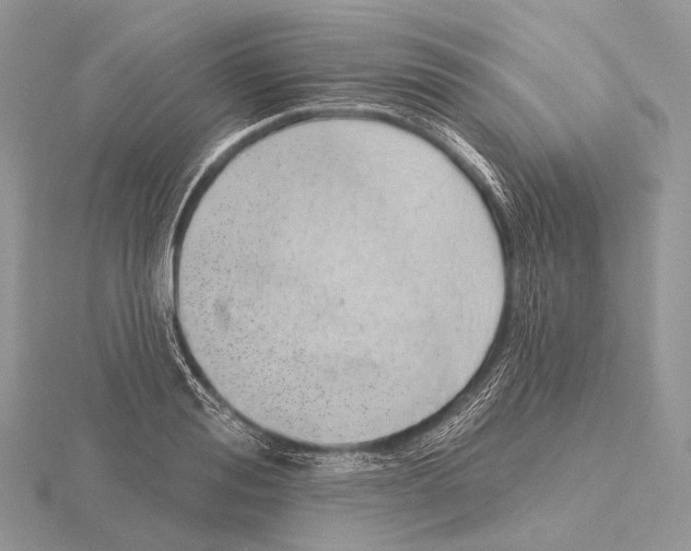 X0000115710988200912101233