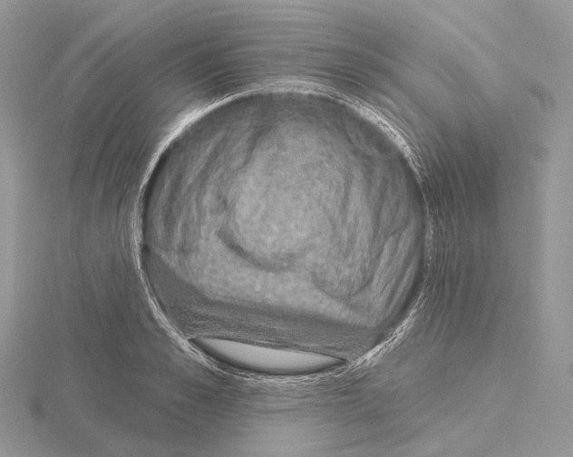 X0000115710989200912101233