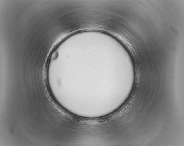 X0000115710990200912101233