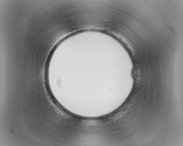 X0000115710991200912101233