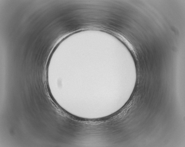 X0000115710996200912101233