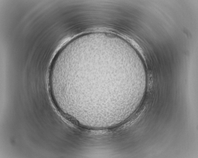 X0000115710997200912101233