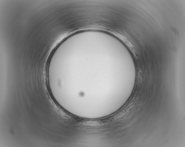 X0000115710998200912101233