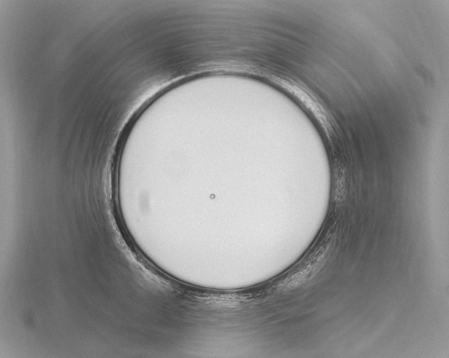 X0000115710999200912101233