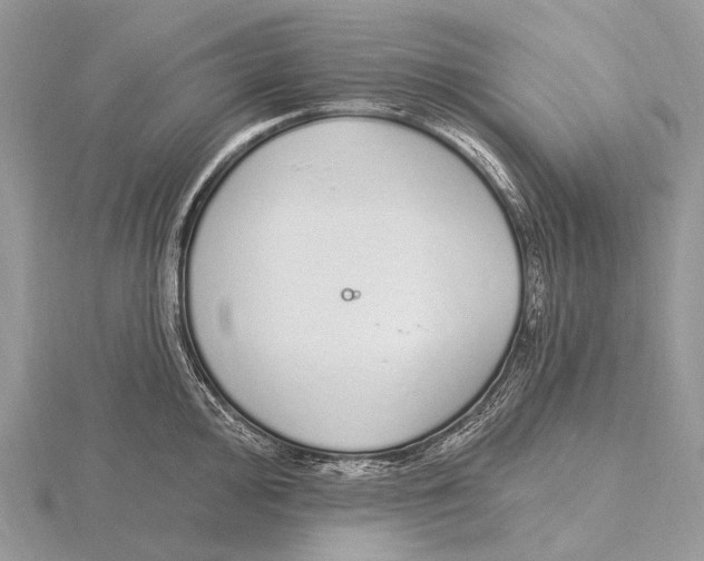 X0000115711000200912101233