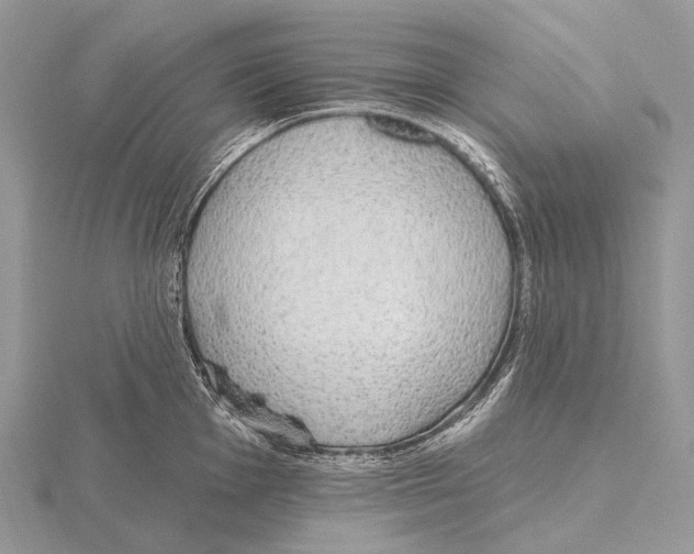 X0000115711001200912101233