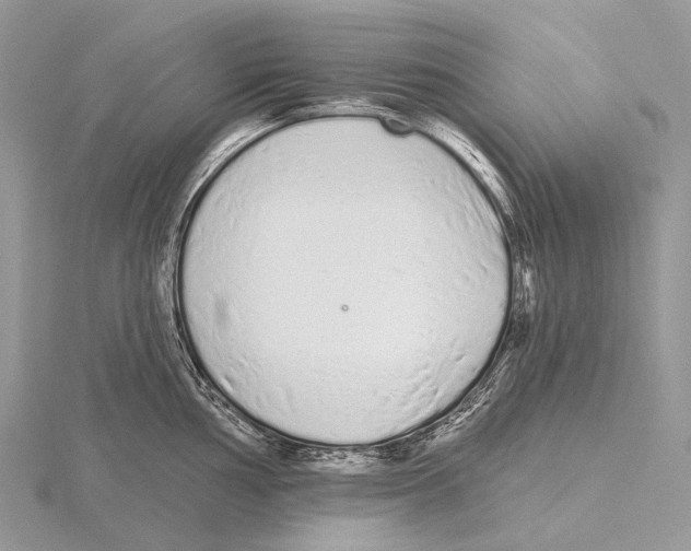 X0000115711002200912101233