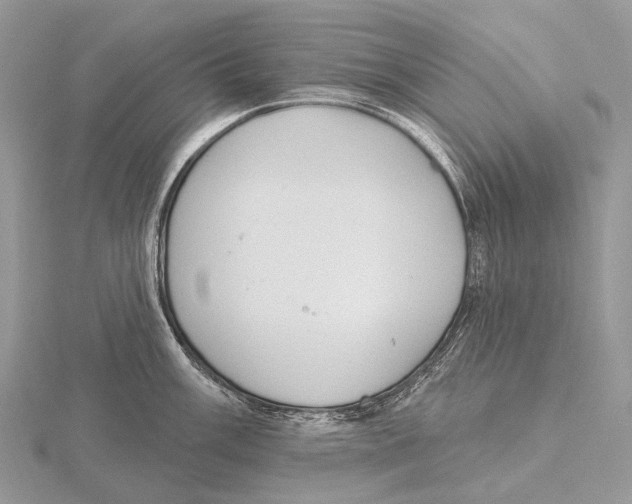 X0000115711003200912101233