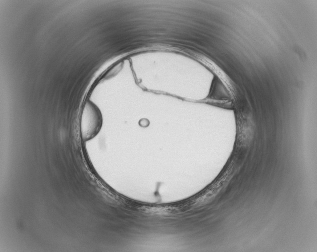 X0000115711004200912101233