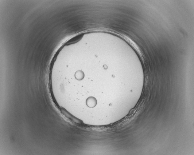 X0000115711005200912101233