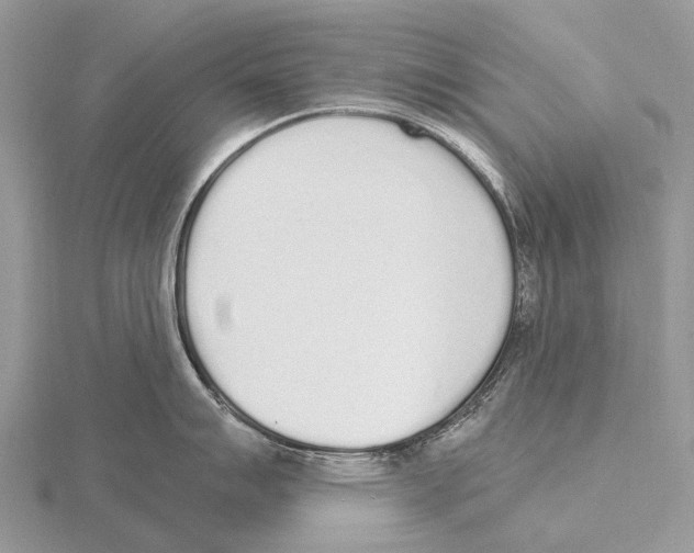 X0000115711007200912101233