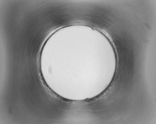 X0000115711008200912101233