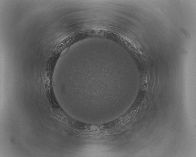 X0000115711013200912101232