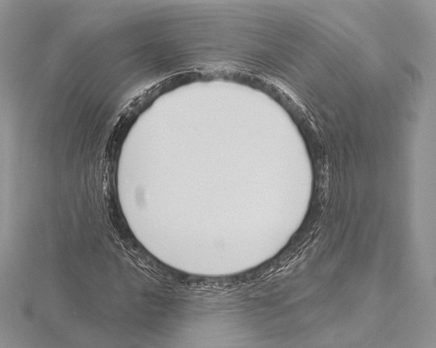 X0000115711016200912101232