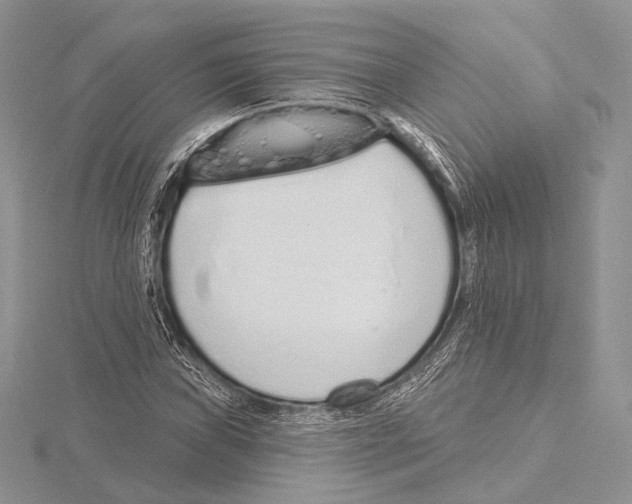 X0000115711019200912101232