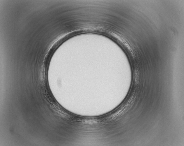 X0000115711021200912101232