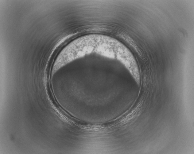 X0000115711024200912101232