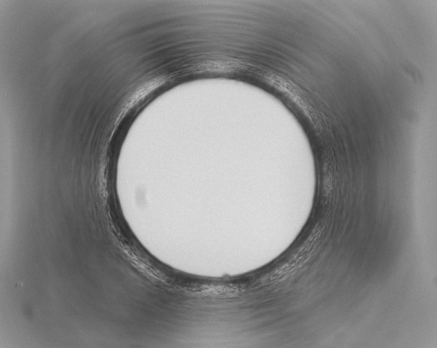 X0000115711026200912101232