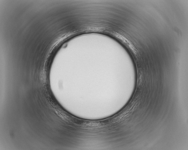 X0000115711027200912101232