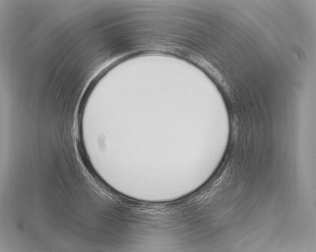 X0000115711028200912101232