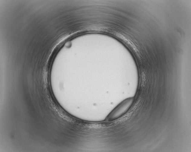 X0000115711029200912101232