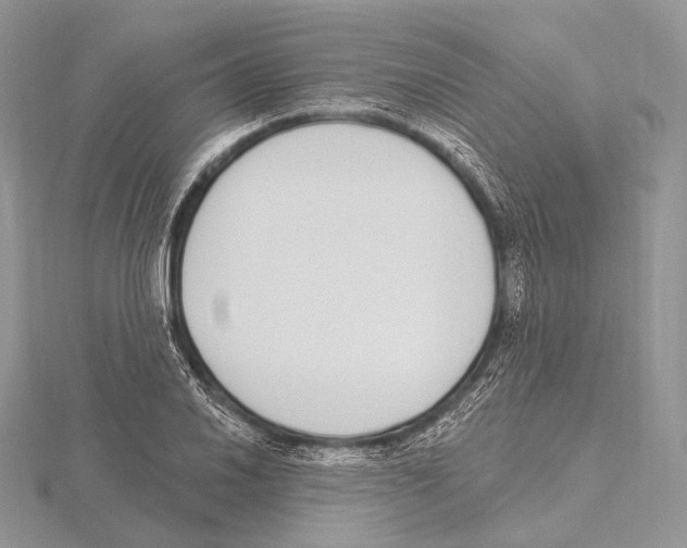 X0000115711030200912101232