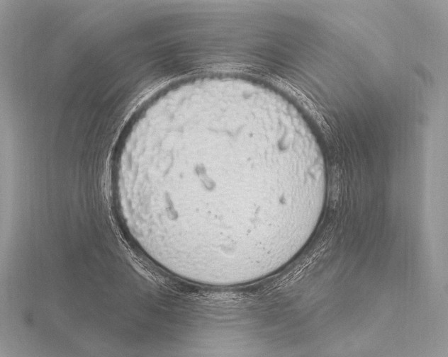 X0000115711031200912101232