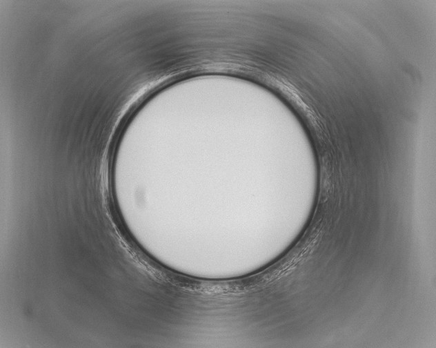 X0000115711032200912101232