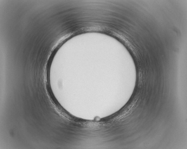 X0000115711034200912101232