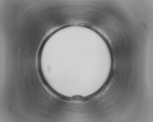 X0000115711037200912101232