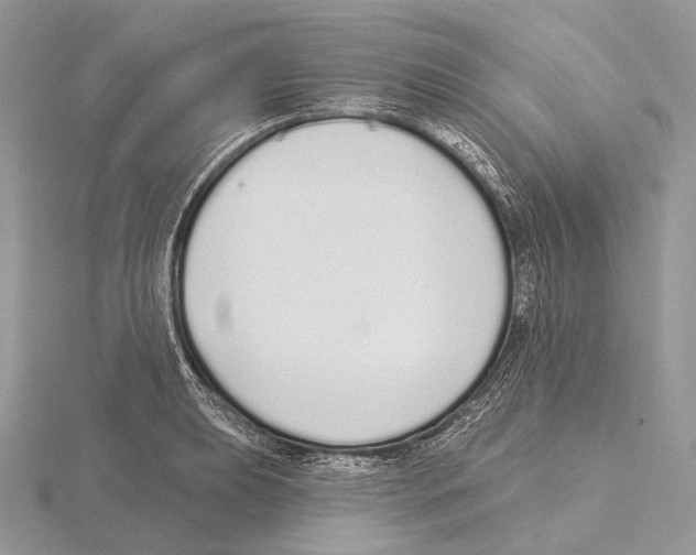 X0000115711039200912101233