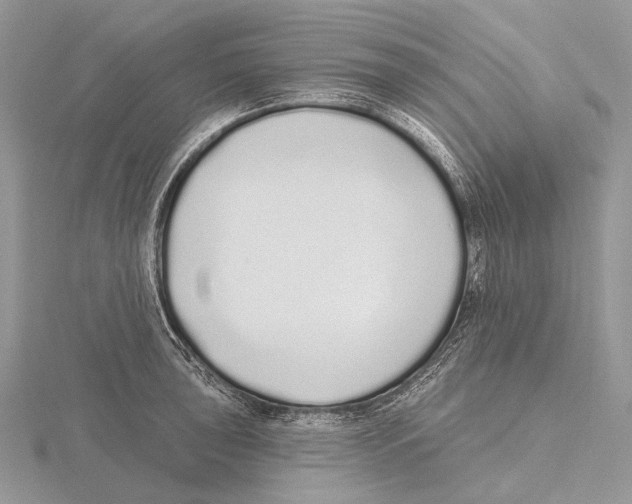 X0000115711043200912101233