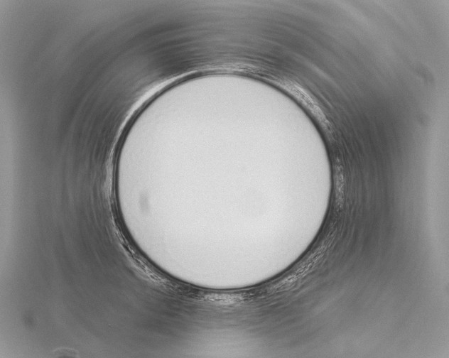 X0000115711044200912101233