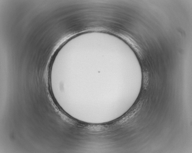 X0000115711046200912101233