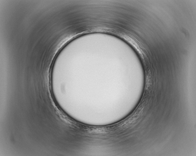 X0000115711047200912101233