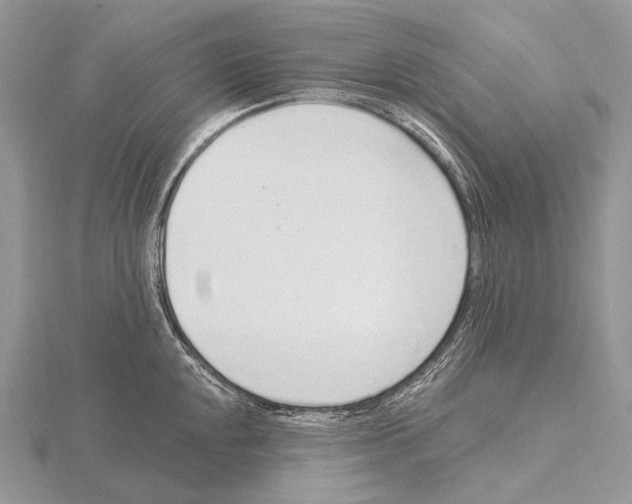 X0000115711048200912101233