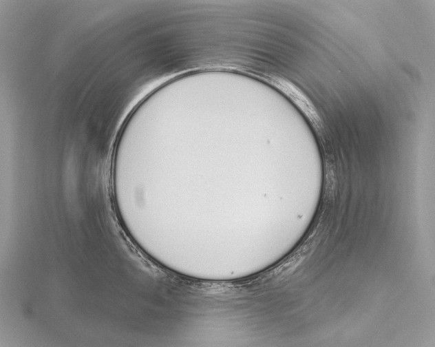 X0000115711052200912101233